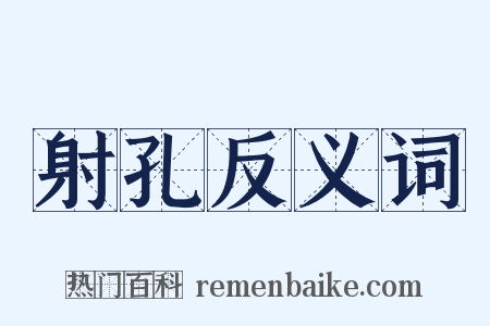 射孔反义词是什么意思的图片